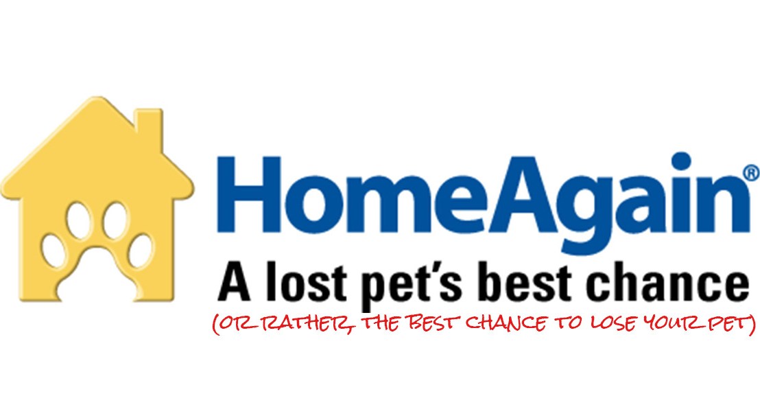 How HomeAgain Gave My Pet Away